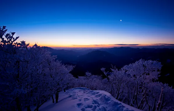 The sky, snow, trees, sunset, mountains, a month