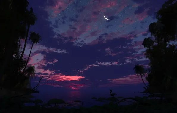 The sky, stars, clouds, sunset, palm trees, Beach, The moon