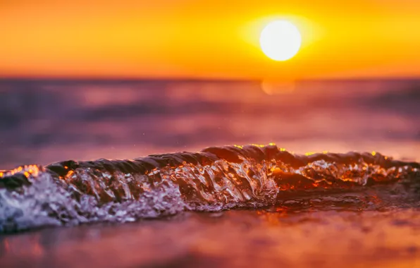 Picture the sun, sunset, wave