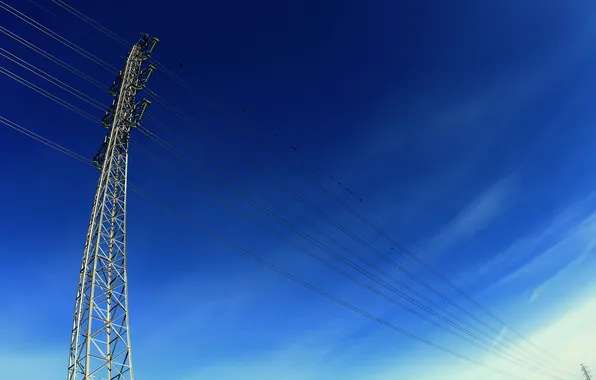 The sky, bird, power lines
