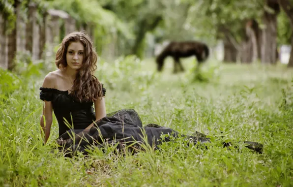 Picture grass, girl, trees, nature, horse, brunette, sitting, posing