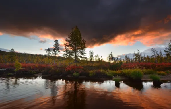 Picture autumn, trees, mountains, clouds, shore, vegetation, pond