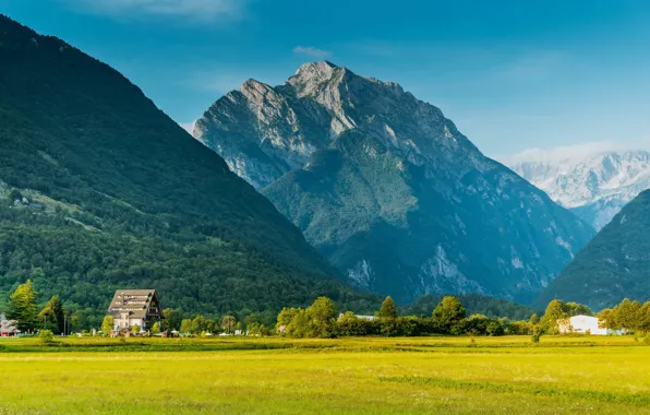 Picture field, forest, the sky, grass, the sun, trees, mountains, rocks