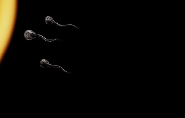 Picture creative, fire, matches, black background, the sperm