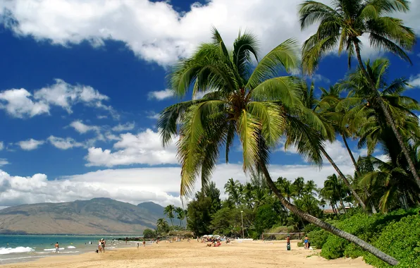Sand, sea, beach, clouds, mountains, tropics, palm trees, shore