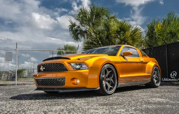 Mustang, Ford, Shelby, GT500, muscle car, front, orange, Super Snake