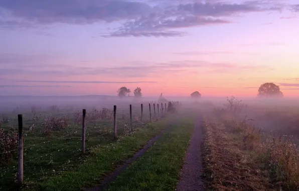 Field, the sky, clouds, trees, fog, sunrise, dawn, morning