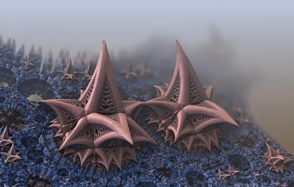 Surface, fog, stars