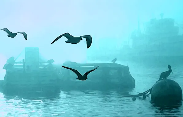Picture birds, fog, ship, harbour