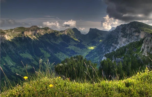 Picture the sky, grass, clouds, trees, flowers, mountains, clouds, nature