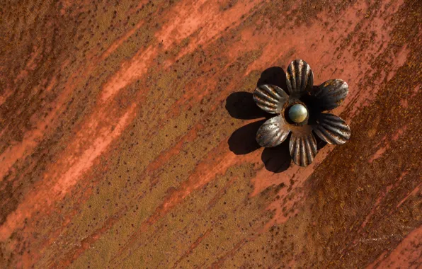 Background, color, texture