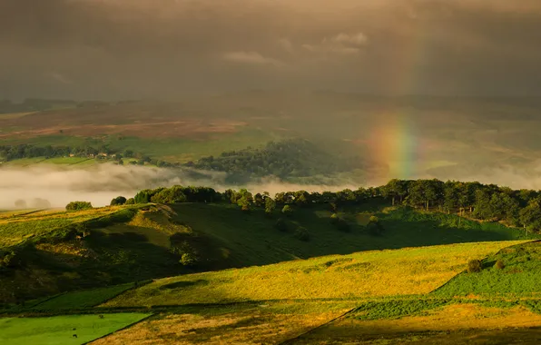 Greens, field, forest, summer, clouds, light, trees, mountains