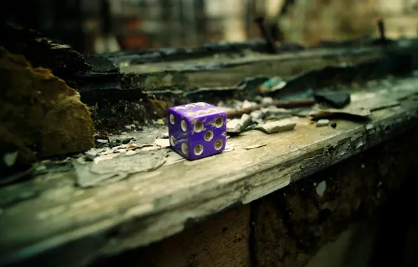 Background, Board, bones