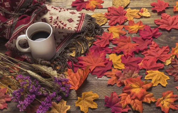Picture autumn, leaves, flowers, background, tree, coffee, colorful, scarf
