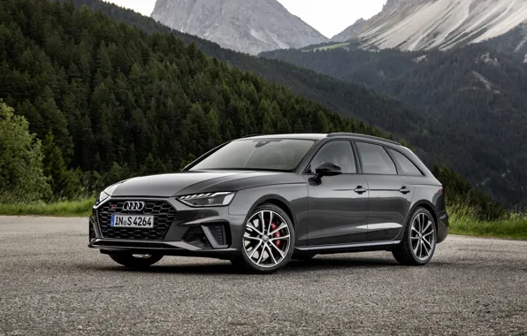 Audi, universal, 2019, dark gray, A4 Avant, S4 Before