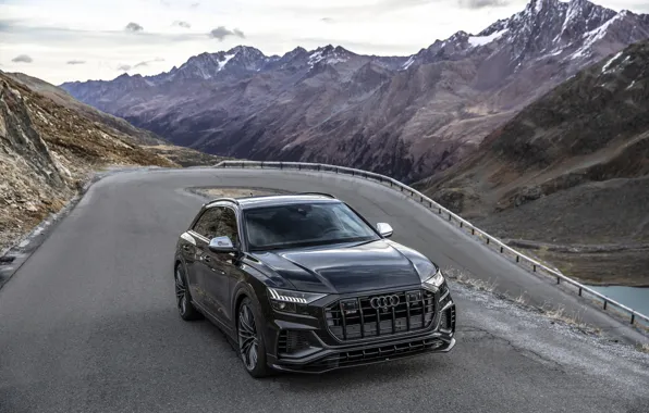 Mountains, Audi, TDI, crossover, ABBOT, 2019, SQ8