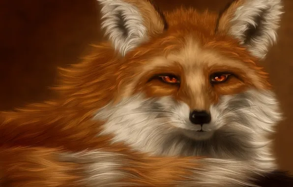 Art, Fox, tail, Fox, fur, red, fox