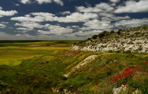 Picture the sky, grass, clouds, flowers, rock, hills, Italy