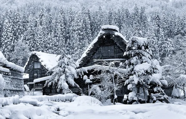 Picture winter, snow, house, Japan, the island of Honshu, Gokayama, Shirakawa-go