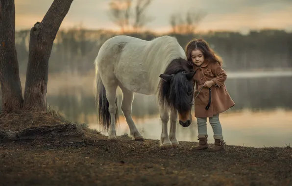 Picture river, spring, the evening, girl, pony
