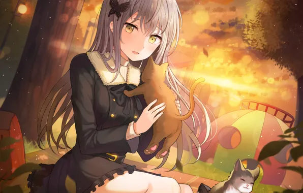Cat, girl, cat