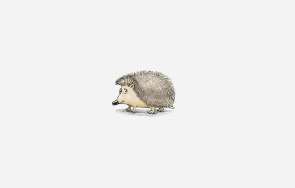 Minimalism, white background, hedgehog, hedgehog