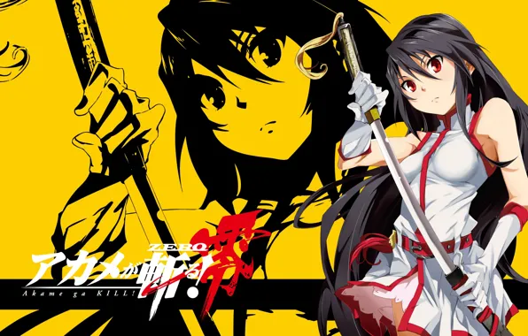 Picture girl, kill, anime, katana, akame ga