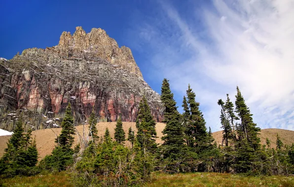 Trees, landscape, mountains