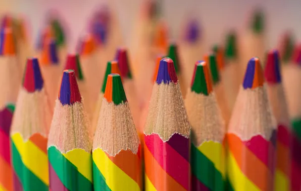 Macro, colored, pencils