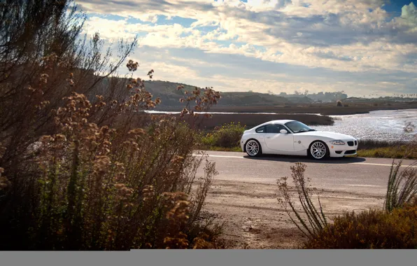 Picture BMW, BMW, white, white, the bushes, Z4M