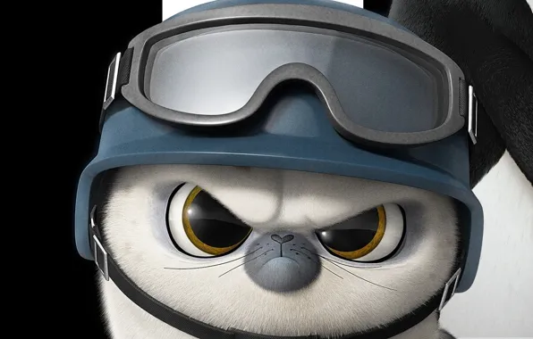 Picture white, black, seal, soldier, bird, spy, feathers, cartoon