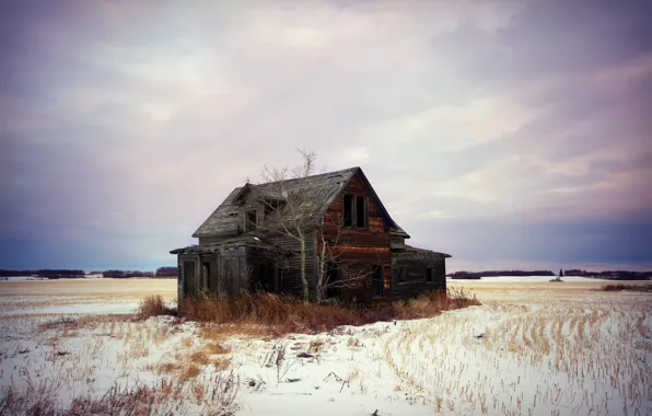 Picture field, snow, house