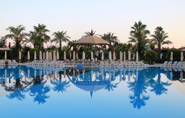 Picture water, reflection, pool, morning