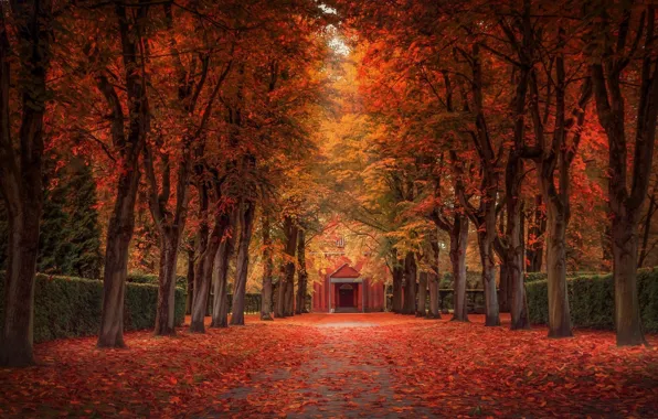 Alley, falling leaves, mansion, autumn trees
