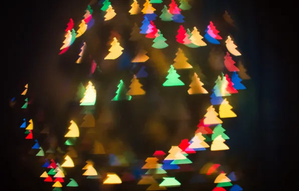 Picture tree, lights, bokeh