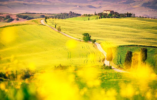 Road, field, flowers, hills, dal, meadow, Italy, track