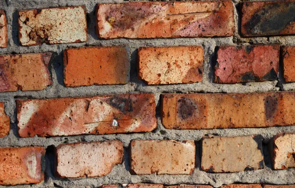 Picture wall, texture, bricks, brick wall