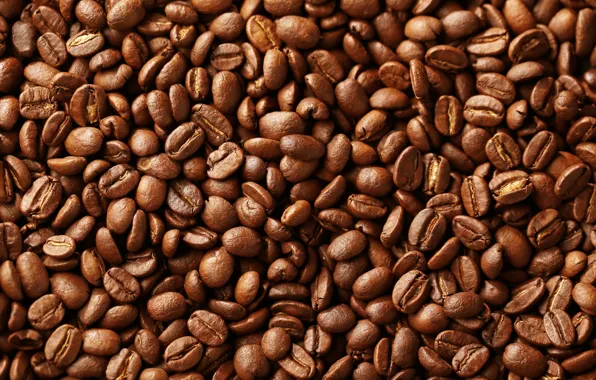 Macro, coffee, grain, texture, brown