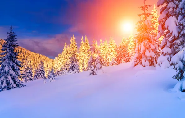 Winter, forest, the sun, snow, mountains, clouds, ate