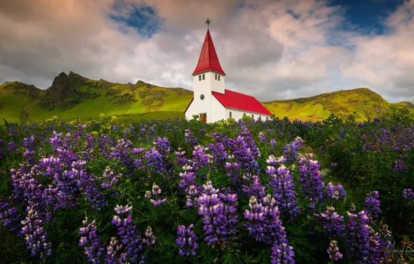Field, clouds, landscape, flowers, mountains, nature, village, Norway