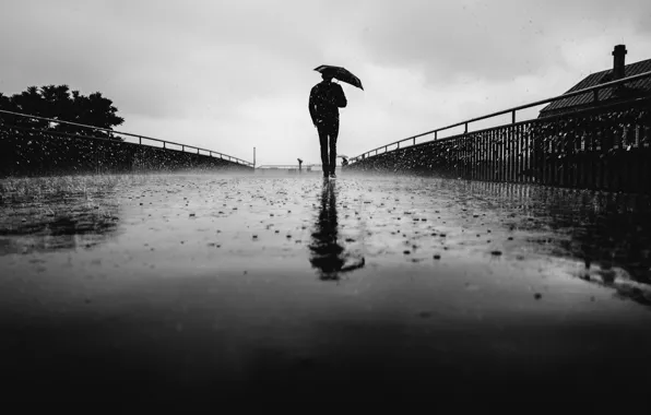 Picture umbrella, man, back, cloudy, raining, urban scene