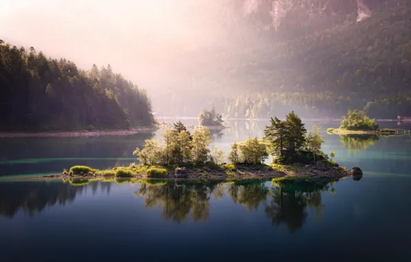 Forest, trees, mountains, lake, island