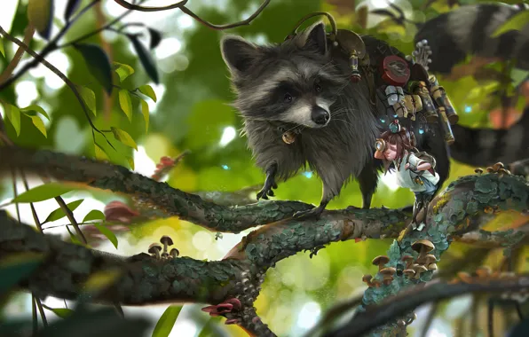 Picture branches, girl, raccoon, Shipper, Rudy Siswanto