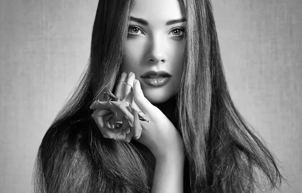 Flower, look, portrait, beautiful