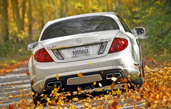 Picture autumn, white, leaves, trees, Mercedes-Benz, speed, supercar, Mercedes