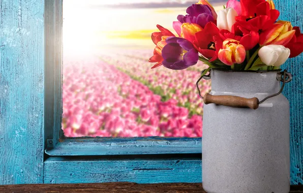 Picture colorful, window, tulips, flowers, tulips, window, bouquet
