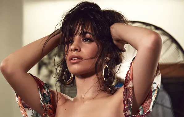 Decoration, pose, makeup, hairstyle, singer, brown hair, Camila Hair