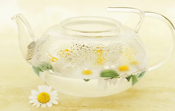 Drops, flowers, transparent, tea, glass, chamomile, kettle, chamomile