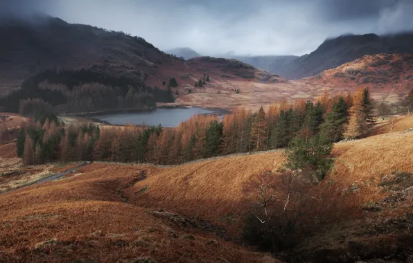 Picture autumn, trees, mountains, hills