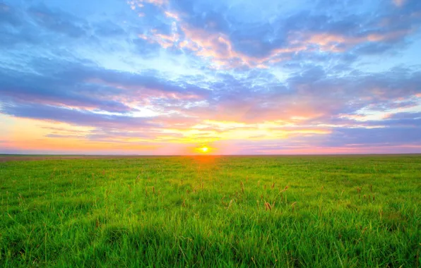 Picture field, dawn, morning